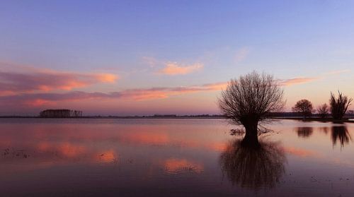 Ondergelopen polderland in de Biesbosch