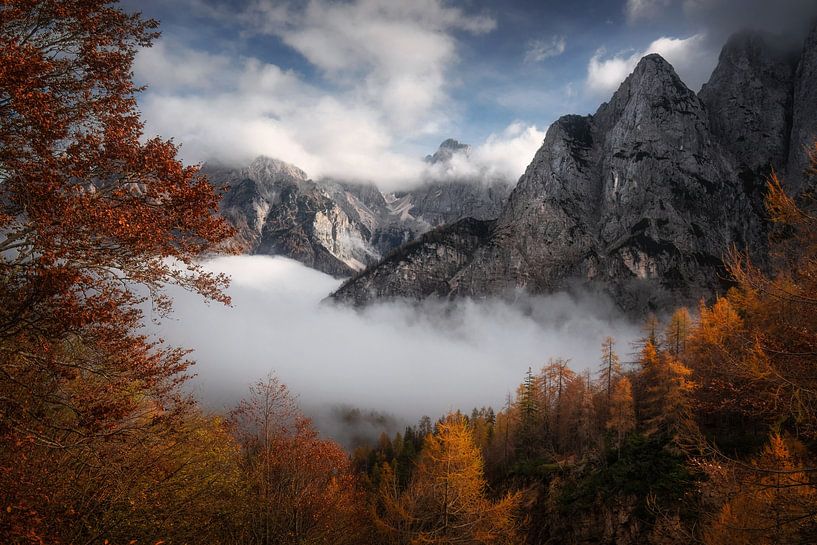 Herbst in Slowenien von Martin Podt