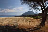 schitterend Sardinië ,  Golfo di Orosei