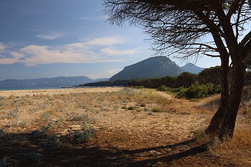 schitterend Sardinië ,  Golfo di Orosei