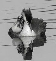 Ensemble dans la sérénité