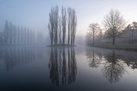 Unesco Werelderfgoed - Wörlitz Tuinrijk