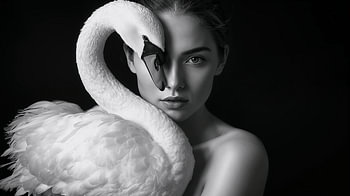 The Swan Within — The swan within me