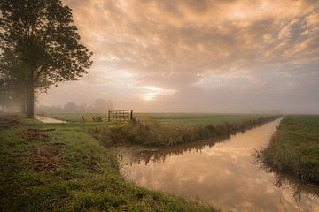 Hollands landschap: Betuwse polder met weiland en sloot