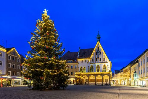 Rathaus in Amberg mit Weihnachtsbaum