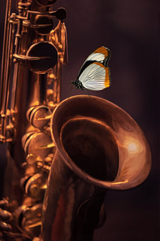 Schmetterling auf dem Saxophon (digitales Ölgemälde)