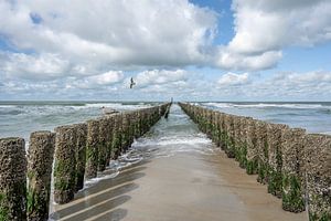 Brise-lames sur la plage avec mouettes