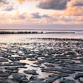 De Friese kust van Charlotte Jalvingh