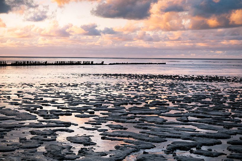 De Friese kust van Charlotte Jalvingh