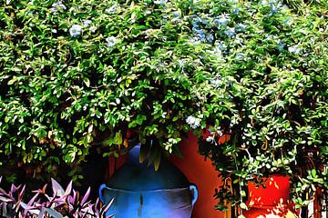 Kleurrijke plantenpotten Marrakech 2 van Dorothy Berry-Lound