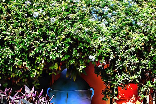 Kleurrijke plantenpotten Marrakech 2