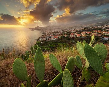 Sunset over Funchal van John Goossens Photography