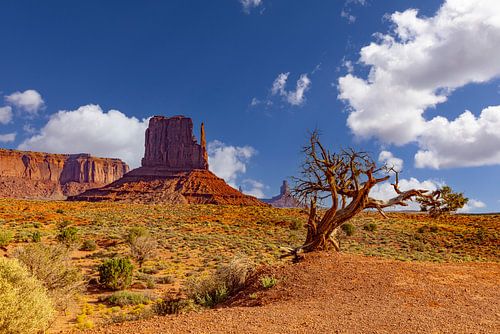 Monument Valley Tribal Park, USA