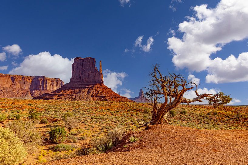 Monument Valley Tribal Park, USA by Gert Hilbink