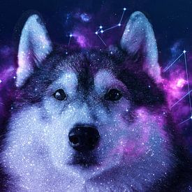 Galaxy Siberian Husky van Lemo Boy