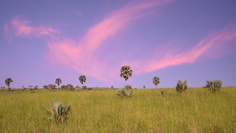 Murchison Falls National Park, Uganda by Alexander Ludwig