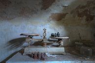 In Balance by Jan van de Riet thumbnail