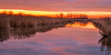 Sunset Oostvaardersplassen van Michiel Leegerstee