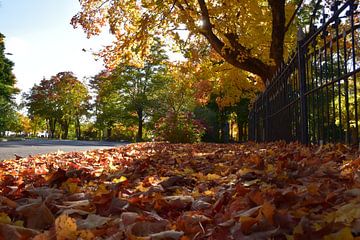 Cemetery Street in Autumn by Claude Laprise