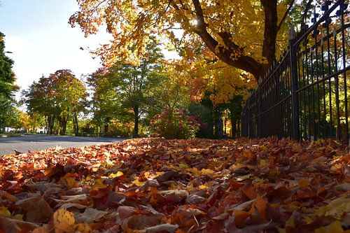 Begraafplaats Straat in de Herfst