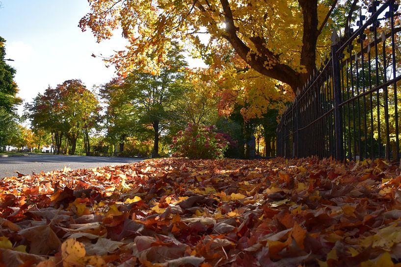 Cemetery Street in Autumn by Claude Laprise
