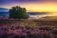 Posbank zonsopgang