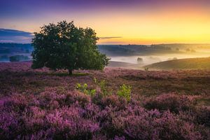 Posbank Sonnenaufgang von Albert Dros