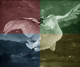 Le cygne en voie de disparition dans Quadrant sur Eigenwijze Fotografie