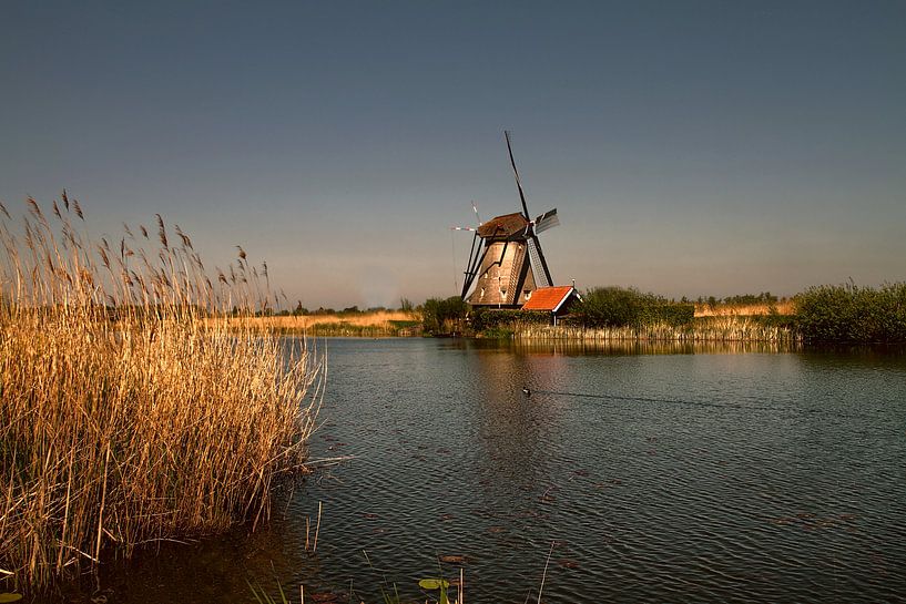 Kinderdijk von Kees de Knegt