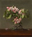 Apfelblüten, Martin Johnson Heade von Meesterlijcke Meesters Miniaturansicht