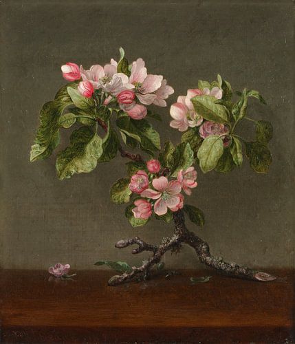 Appelbloesems, Martin Johnson Heade...