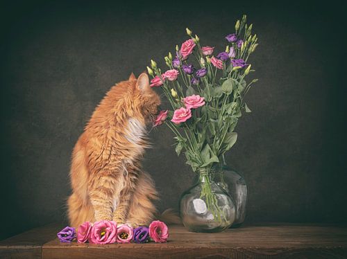 Katze riecht die Blumen
