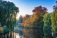 Deventer bird island in autumn colours with reflection in the water.