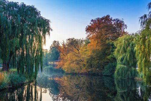 Deventer Vogelinsel in Herbstfarben mit Spiegelung im Wasser.