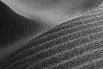 zand sculpturen in de duinen van Rik Verslype