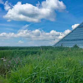 De tweeling van Leeuwarden van Roelof van der Schaaf