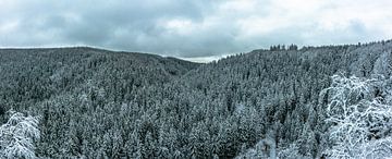 Winter Landschaften von Johnny Flash
