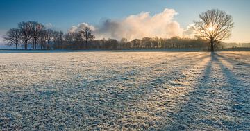 Grensmaas, Meers, Zuid- Limburg. van Ramon Stijnen