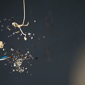 Hans G. Smit photo de profil