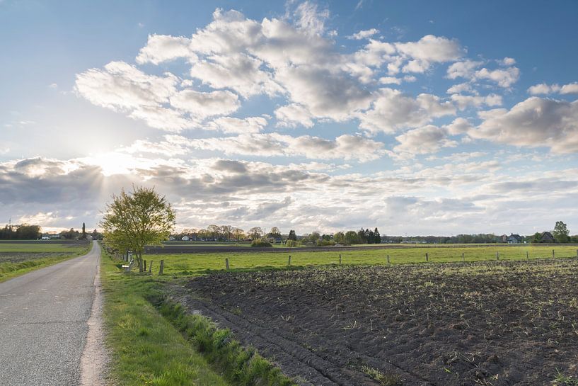 Last sunlight van Jan Koppelaar