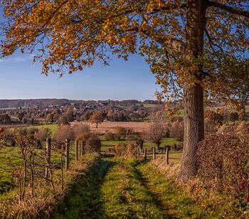 Herfstkleuren bij Epen in het   Zuid-Limburgse Heuvelland
