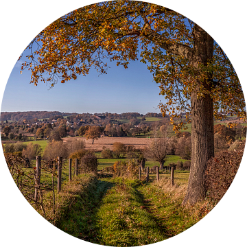 Herfstkleuren bij Epen in het   Zuid-Limburgse Heuvelland van John Kreukniet