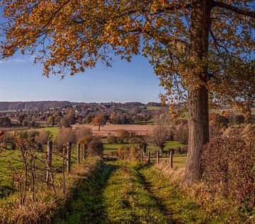 Herfstkleuren bij Epen in het   Zuid-Limburgse Heuvelland van John Kreukniet