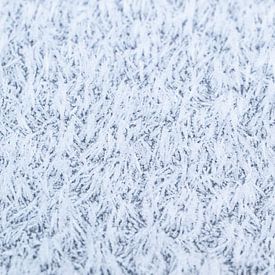 De magie van de vorst, abstracte winterse rijp van dichtbij van Christiaan Poot