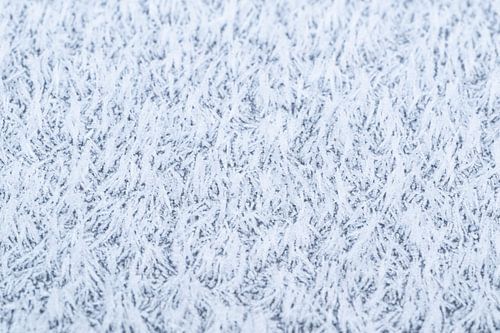 La magie du givre, le givre hivernal abstrait de près sur Christiaan Poot