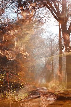Herfst in het bos van Art by Janine