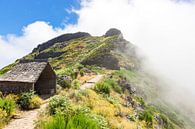 Berghut op Madeira par Michel van Kooten Aperçu