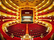 Gran Teatre del Liceu in Barcelona von Roy Poots Miniaturansicht