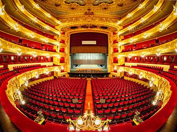 Gran Teatre del Liceu in Barcelona by Roy Poots
