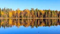 Spiegelbeeld in Zweedse natuur